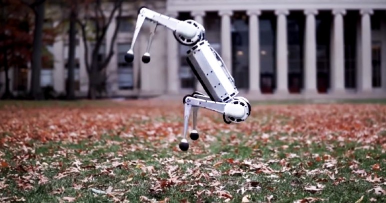 MIT, Mini Robot Köpeğiyle Boston Dynamics'e Rakip Oluyor